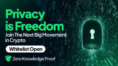 zero-knowledge-proof-(zkp)-turns-ai-compute-into-earnings-while-bnb-and-xrp-struggle-on-the-charts!